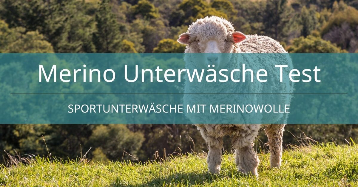 Merino Unterwäsche Test - FB